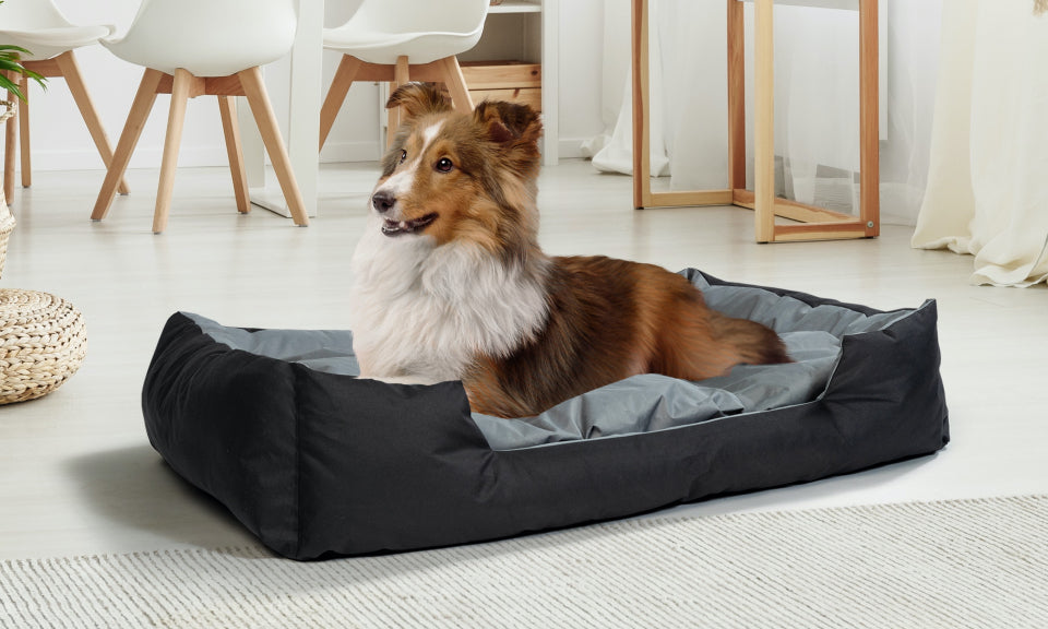 Comment Bien Choisir un Panier Confortable pour Votre Chien