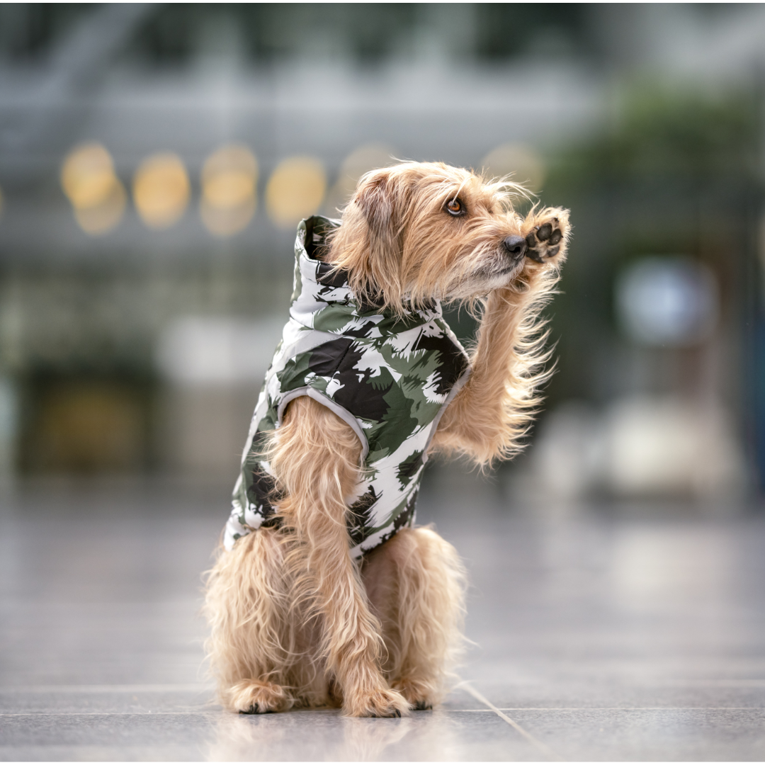 Manteau pour chien Active+ Thermo™