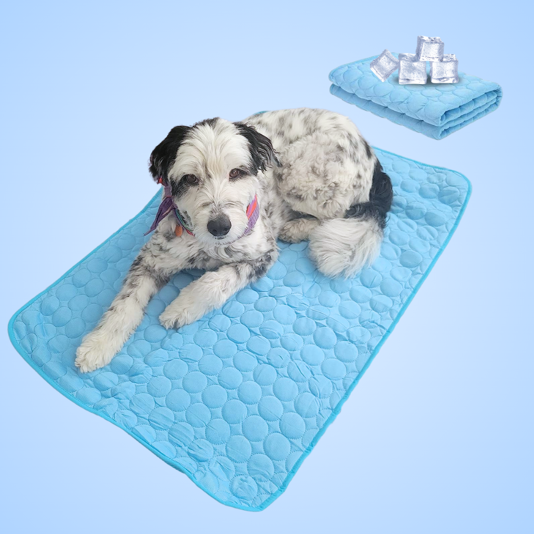 CoolingMat™ - Tapis rafraîchissant pour chien