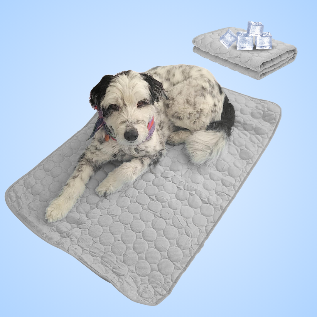 CoolingMat™ - Tapis rafraîchissant pour chien