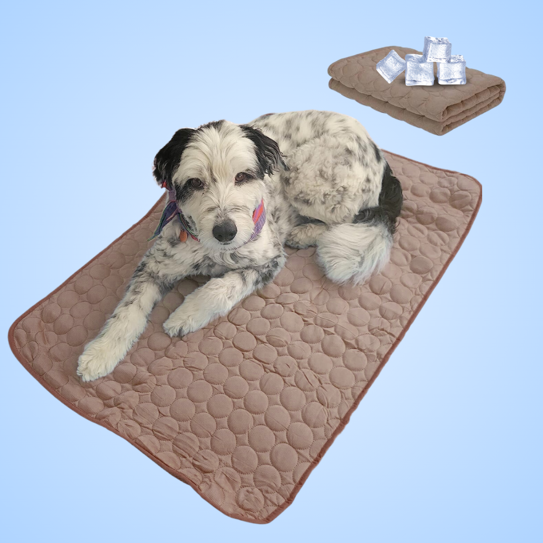 CoolingMat™ - Tapis rafraîchissant pour chien