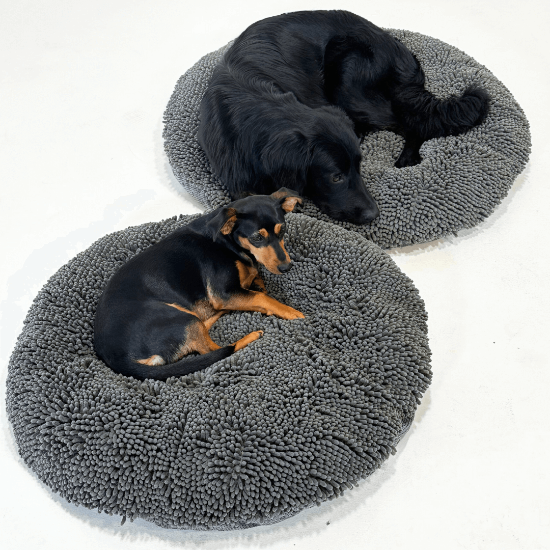 Lit pour chien Nook™