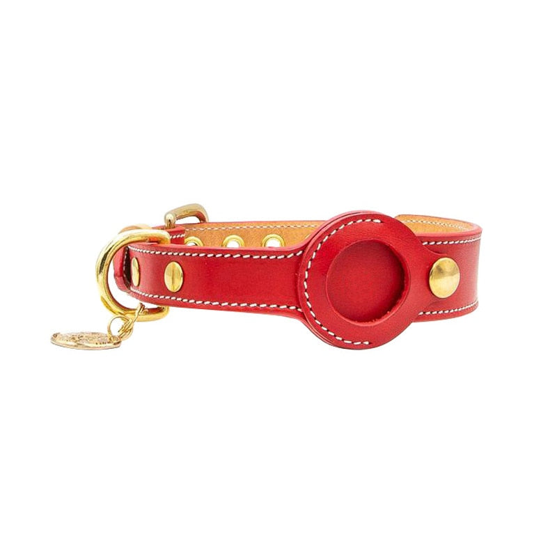 Tracdog™ - Collier AirTag