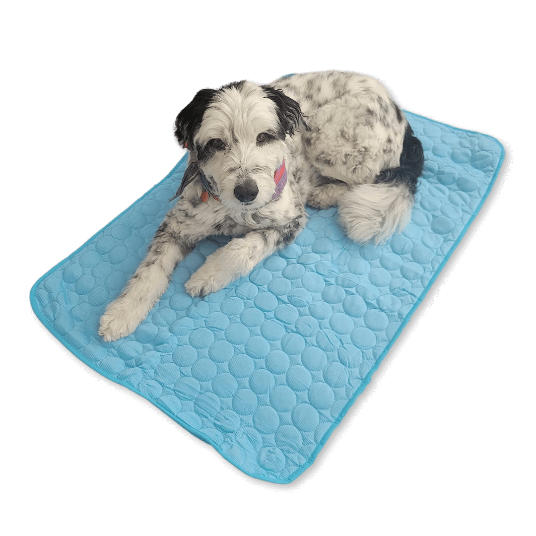 CoolingMat™ - Tapis rafraîchissant pour chien